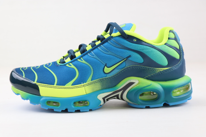 Men Nike Air Max Plus Colorful Blue Green Black Running Shoes